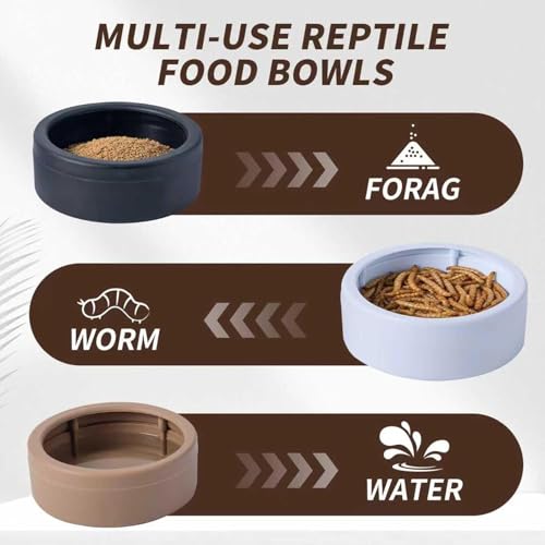 Reptile Water Bowl | 3-Piece Mealworm Feeder Cups | Reptile Food Dish Bowl - for Gecko Bearded Dragon Lizards Hermit Crab Snail Pet Store Terrarium Tank