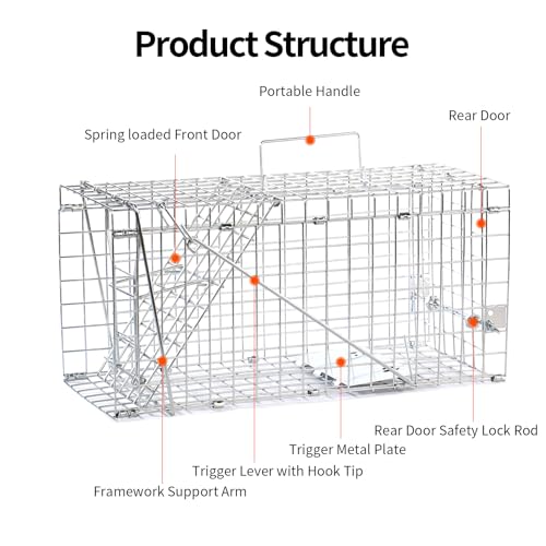 17" Humane Folding Squirrel Trap,Easy Catch and Release | Humane Live Animal Trap for Squirrels