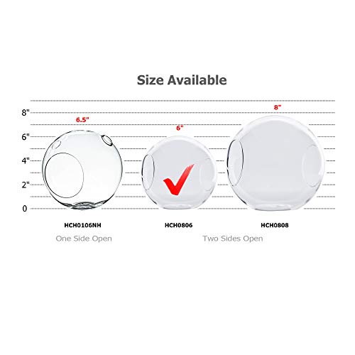 WGV Planter Terrarium Bulk, Width 6" Height 6", Clear Round Glass Vase Container with Two Side Opening, DIY Air Planter, Votive Candle Holder for Decor, 6 Pieces - size: 6" Double Opening