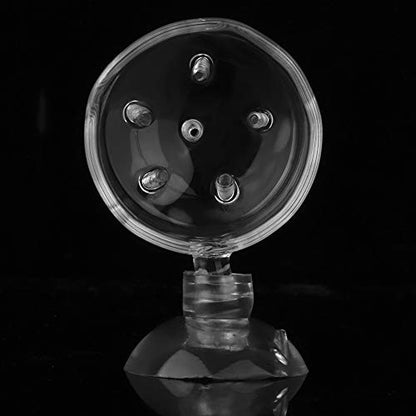 Fish Tank Feeding Cup, Aquarium Red Worm Food Container, Glass Feeder with Suction, Transparent Bowl for Feeding Shrimp Fish Reptiles (Glass Hole Cup)