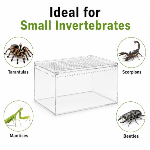 Large Clear Acrylic Jumping Spider Enclosure, 11.8 x 7.9 x 5.9 in | Suitable for tarantulas, spiders, mantises, beetles, and small reptiles, Wide opening design for feeding and cleaning