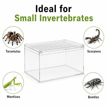 Large Clear Acrylic Jumping Spider Enclosure, 11.8 x 7.9 x 5.9 in | Suitable for tarantulas, spiders, mantises, beetles, and small reptiles, Wide opening design for feeding and cleaning
