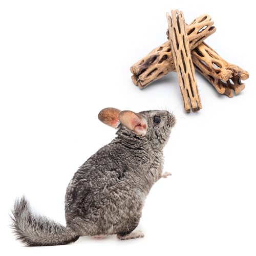 Natural Cholla Wood - Driftwood for Aquariums, Air Plant Base, Hermit Crab and Freshwater Shrimp Hideout, Fish Tank Decoration, Chinchilla Chews, Reptile Habitat Wood - 6 Inch, 5pc - size: 6 Inch, 5pc