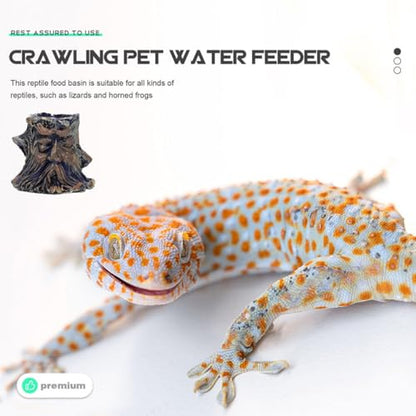 Homoyoyo 6pcs Escape-Proof Reptile Food and Water Bowls Terrarium Feeding Dish Set for Snakes Geckos Tortoises and Hermit Crabs Crawling Pet Feeder for Snake Tank Random Color