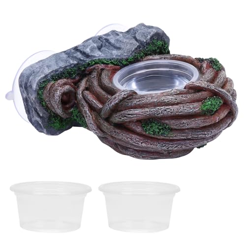 AIICIOO Vine Reptile Feeding Ledge Pet Food Bowl Water Dish Amphibian Feeder Bowl Reptile Terrarium Decor for Bearded Dragon Lizard Snake Frog Gecko Tortoise Hermit Crab - size: Vine Single Feeder