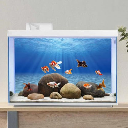AWERT Undersea Aquarium Backdrop Sunshine Fish Tank Background 36x18 inches | AWERT Ocean Floor Underwater World Vinyl Background - size: 36 x 18 inches