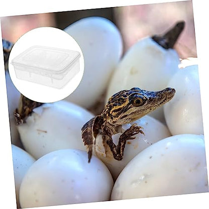 Kisangel 2pcs Reptile Egg Incubator with Compartment Hatching Box for Lizards and Tortoise Eggs Durable Transparent Easy to Clean and Reusable Breeding