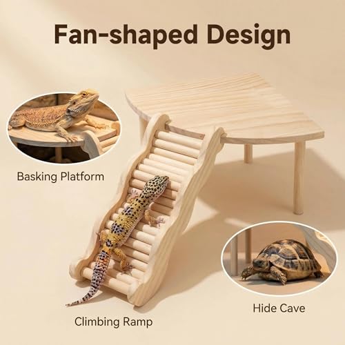 2-in-1 Fan-Shaped Wooden Basking Platform with Anti-Slip Ramp and Hideout, Easy Assembly Terrarium Accessories for Bearded Dragon, Leopard Gecko, Small Reptiles & Amphibians (Natural Wood Tone)
