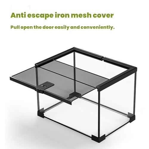 4 Gallon Glass Reptile Terrarium 12"x8"x8" | Stackable, Full View Tank, For Leopard Gecko, Frog, Snake, Hermit Crab, Tarantula, Jumping Spider - size: 12*8*8in