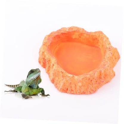 POPETPOP Reptile Feeder Bowl Thickened Design Lizard Food Tray Turtle Feeder Skid-Resistant Easy- Pet Food Container