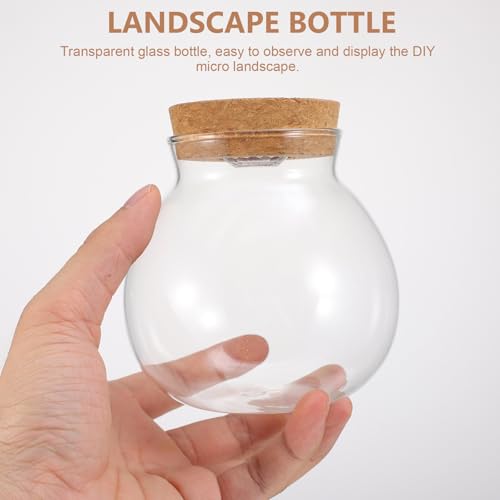 Glass Terrarium Jar with Led Light, Closed Terrarium Jar with Lid for Moss, Succulents and Betta Fish Tank, Large Clear Round Desk Plant Container Ecosystem for Home & Office Decor (no Plants) - size: 10.50X10.00X10.00CM