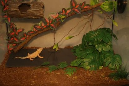 AQUA KT Reptile Basking Platform Tortoise Feeding Dish Natural Rock Design | Use in terrarium tank Amphibian Rock Plate for Lizard Bearded Dragon Snake Chameleon Snake Frog Resting and feeding