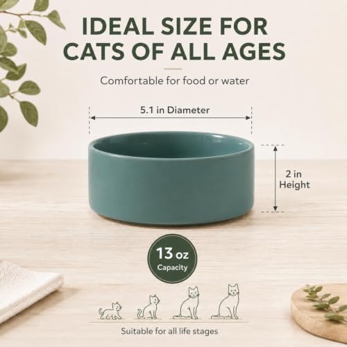 Havniva Cat Bowls Set of Two, 5.1” Ceramic Cat Food and Water Bowls | Cat Food Bowls Whisker Friendly, Non-Slip Base, Food-Grade Ceramic, Wide Opening, Dishwasher Safe, Cat Bowls for Indoor Cats - color: Dark Green, size: 2 Bowls - 5.1"