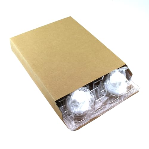 RLECS Reptile Habitat Platform 25x20x0.3cm Acrylic Suction Cup Transparent Dock Floating Decoration Pet Supplies Suitable for Aquariums