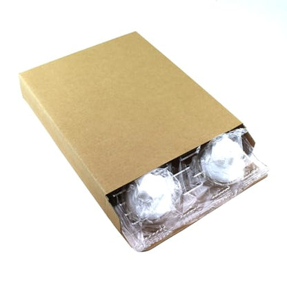 RLECS Reptile Habitat Platform 25x20x0.3cm Acrylic Suction Cup Transparent Dock Floating Decoration Pet Supplies Suitable for Aquariums