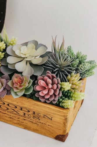 caqpo Premium Fake Succulents: Artificial Succulent Plants Decor - 30 Pack - size: 30Pack