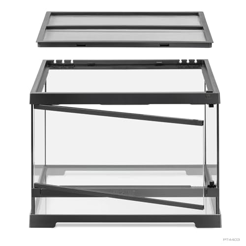 Pro Terrarium Small Low. Advanced Natural Terrarium