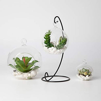 WGV Hanging Terrarium Globe, Width 3", Height 4", DIY Air Succulent Planter, Clear Glass Vase Orb with Flat Bottom, Candle Holder for Windowsill Outdoor Garden Decor, 1 Piece - size: 3" Flat Bottom