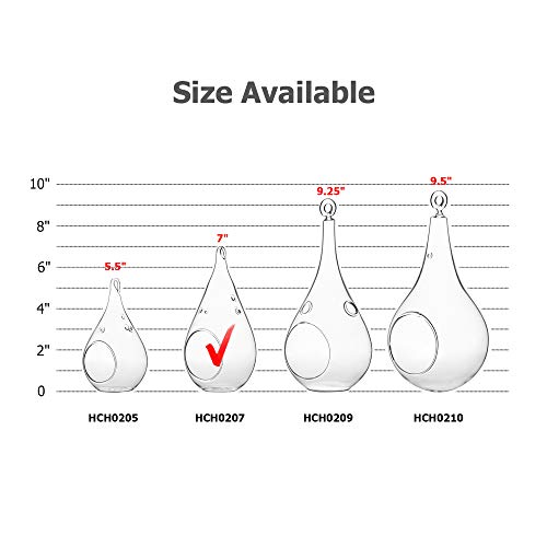 WGV Glass Hanging Plant Terrarium, Width 3.5", Height 7", Teardrop DIY Air Succulent Planter Clear Tea Light Votive Candle Holder, Wedding Event Office Home Outdoor Decor, 1 Piece - size: Teardrop M