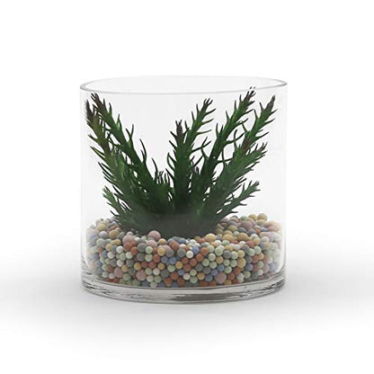 WGV Cylinder Vase, Width 6", Height 6", Clear Glass Container Terrarium Candle Holder for Wedding Centerpiece, Party Event, Home Office Decor, 1 Piece - size: 6 Inch (Pack of 1)