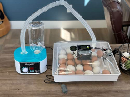 HumidiKit™ Automatic Humidity System with Digital Hygrostat for Incubators