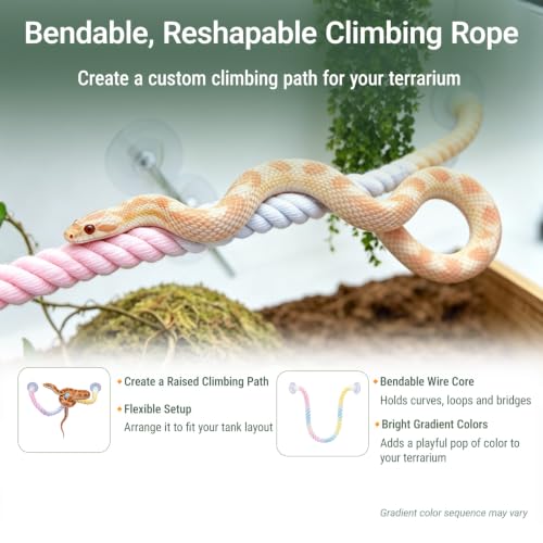 Reptile Hammock and Climbing Set for Gecko, Lizard and Small Snake | 15-Piece Set,Natural Handwoven Hammock,Gradient Climbing Rope,Flexible Habitat Setup,For Snakes and Geckos