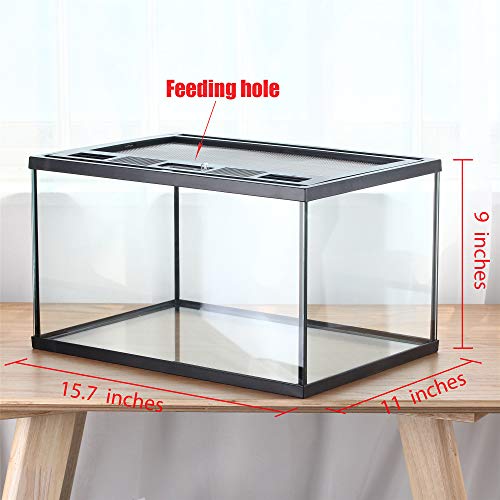 Frogs Glass Terrarium Feeding kit Tank, 15.7×11×9 inches, for Reptile Amphibians, Insect, Horned Frogs, Waterweed Prairie Style Habitat, with Green Artificial Turf Pad, Natural Volcanic Rock | Mesh Top Ventilation, Feeding Port, Lockable Lid, For Small Ho