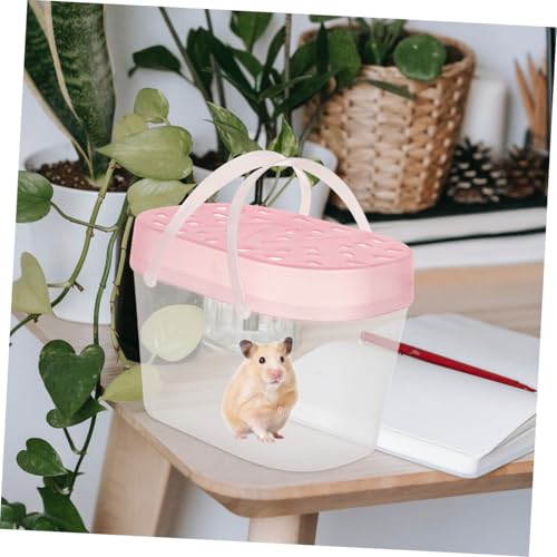 balacoo 2pcs Small Reptile Holders Comfortable Carrying Cases for Hamsters Turtles and Small Animals Transparent Observation Window for Travel and Outdoor Use