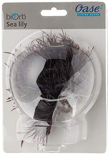 biOrb Sea Lily Crimson (Pack of 2) - color: Crimson, size: 1 Count (Pack of 2)