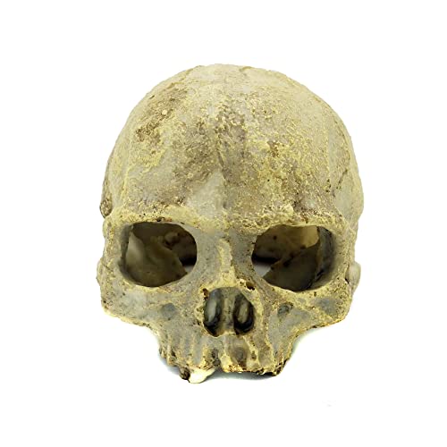 JIHAQUA Aquarium Resin Skull Ornament Snake Hide Decor, Habitat | Reptile Tank Accessories, Basking