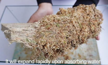 Sphagnum Moss 34QT for Plant Propagation, Great Orchid Potting Mix, Help with Maintain Humidity, 10oz - size: 10oz