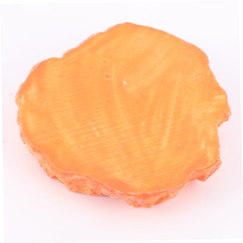 Veemoon Simulation Bowl Lizard Turtle Feeder Reptile Supplies Odorless Food Container Thickened Bowl Reptile Tank Accessories
