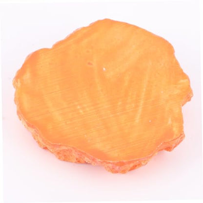 Veemoon Simulation Bowl Lizard Turtle Feeder Reptile Supplies Odorless Food Container Thickened Bowl Reptile Tank Accessories