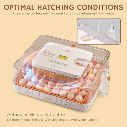 iPettie Nestasy ProHatch56 Egg Incubator with Automatic Egg Turning and Humidity Temperature Control, 56 Eggs Capacity for Hatching Eggs, Chicken Eggs, Duck Eggs, Temperature Adjustment and Alarms