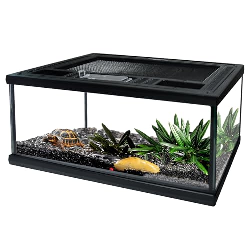 Reptile Glass Terrarium Tank 12"*8"*6",Small Cage Full View with Top Screen Ventilation Habitat Enclosure for Tarantula,Frog,Gecko,Insects,Spiders,Snakes,Hermit Crab,Turtle,Fish - size: 12*8*6inch
