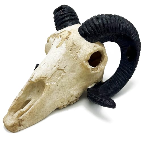 Fish Aquarium Tank Hideout Décor Decorations Dinosaur Skull Fish Tank Decor Cave Skull Betta Animal Halloween Large Reptile Bones Snake for Terrarium Ornament - color: Horned Sheep