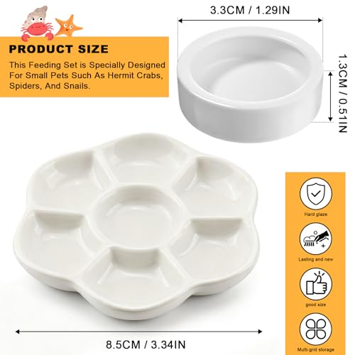 Eiito Reptile Food Bowl,Hermit Crab Lizard Gecko Ceramic Food Dish, 7 Compartments Anti-Turning Bearded Dragon Food & Water Bowl with Small Brush (White)
