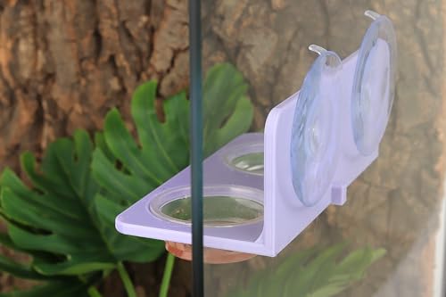 Crested Gecko Feeding Ledge with 10PCS Gecko Food Water Dish - color: Purple