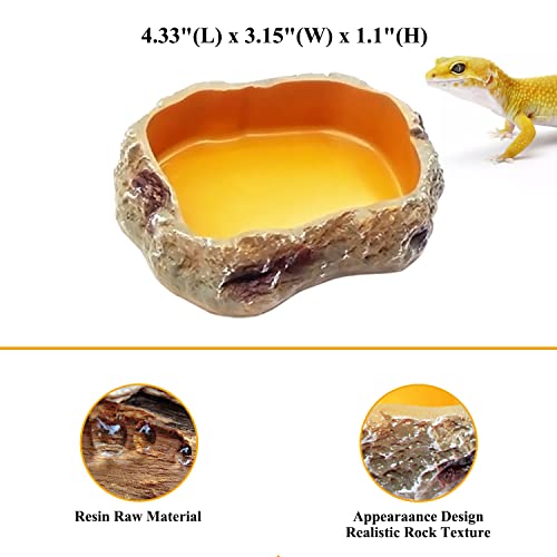 Reptile Growth Reptile Bowl Set Includes Reptile Food Dish,Reptile Water Dish,Reptile Feeding Tongs,Long Tweezers for Terrarium,for Leopard Gecko,Frog,Bearded Dragon,Snake,Tortoise,Hermit Crab