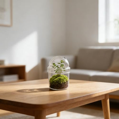 Small Plant Terrarium: Desktop Glass Terrarium Planter for Succulent, Moss, Miniature Gardening Landscape - Tiny Betta Fish Tank, Office Home Decoration