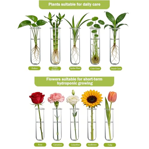 XXXFLOWER Wall Hanging Propagation Station with Wooden Stand Glass Test Tubes Tiered Planters Wall Terrarium for Home Office Plant Hanger Flower Vases Wall Decor Hydroponic Cuttings (9 Tube Vases) | Mini Flower Pothos Test Tube Vase,Wall Decor Hanging Pla