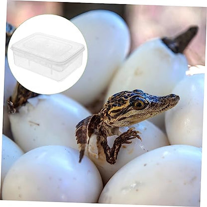 BESPORTBLE Egg Incubator Box for Reptiles 16 Holes Clear Lid Leakproof Made of Durable Plastic for Gecko Turtle and Lizard Eggs