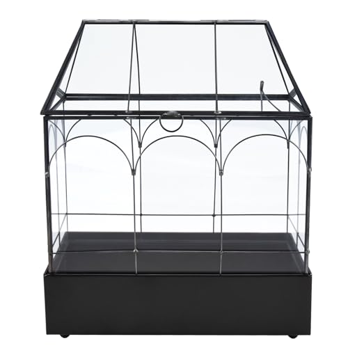 Glass Terrarium with Metal Tray, Glass Greenhouse Terrarium Kit for Succulents, Cacti, Snails, Spiders, and Miniature Reptiles, Black (Large-9.45" L x 5.7" W x 11.8" H) - size: Large-9.45"L x 5.7"W x 11.8"H