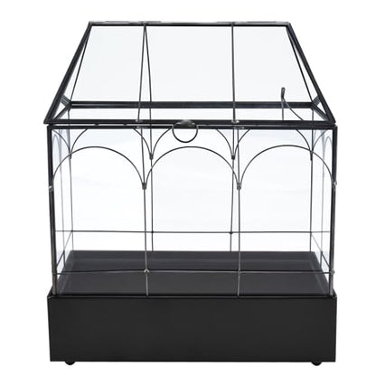 Glass Terrarium with Metal Tray, Glass Greenhouse Terrarium Kit for Succulents, Cacti, Snails, Spiders, and Miniature Reptiles, Black (Large-9.45" L x 5.7" W x 11.8" H) - size: Large-9.45"L x 5.7"W x 11.8"H