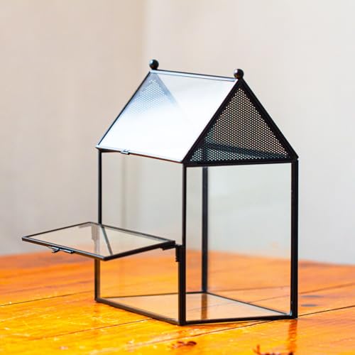 NCYP Glass Enclosure with Vent Holes for Small Insect, Jumping Spiders, Mantis - 7.5" x 4.9" x 9" Front Opening Door House Shape Vented Glass Terrarium, Home Decor Black (Terrarium Only) - size: 7.5" x 4.9" x 9"