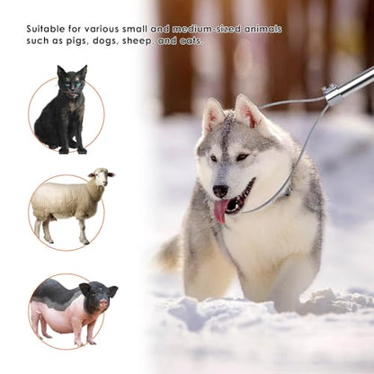 Dog Catcher Pole Animal Control Pole, Rod Length 30 inches | Stainless Steel Pig Holder Catcher Cat Catcher Pole, Heavy Duty Catch Pole for Animals Cats Hogs Pigs and Small/Medium Dogs
