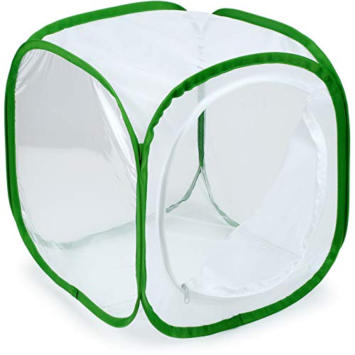 RESTCLOUD Insect and Butterfly Habitat Cage Terrarium Pop-up 12 X 12 X 12 Inches - color: White With Green, size: 12 x 12 x 12 inches