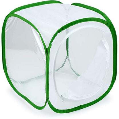 RESTCLOUD Insect and Butterfly Habitat Cage Terrarium Pop-up 12 X 12 X 12 Inches - color: White With Green, size: 12 x 12 x 12 inches