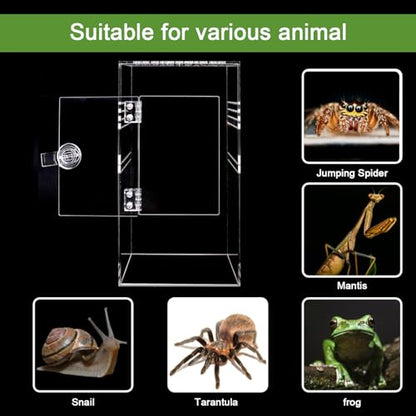 Spider Terrarium Kit, Jumping Spider Enclosure with Hideout, Rope Bridge, Ledge Ladder, Micro Habitat Terrarium for Small Tree Dwelling Reptiles, Arboreal Tarantula Enclosure (6x6x12 Inches) - size: 6x6x12 Inches