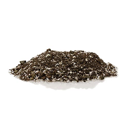Premium African Violets and Gesneriad Premium Soil Mix by Gardenera - Horticultural Perlite (25%) + Vermiculite (25%) + Sphagnum Peat Moss (50%) - Made in USA - (1 Quart Bag) - color: AFRICAN VIOLETS SOIL, size: 1 Quart